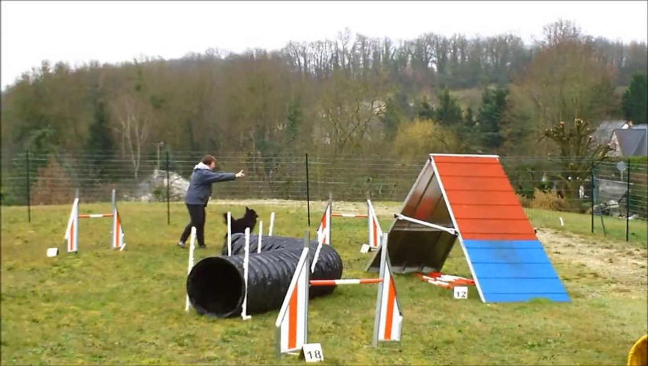 heaven  entrainement agility cormery 20 fevrier 2014