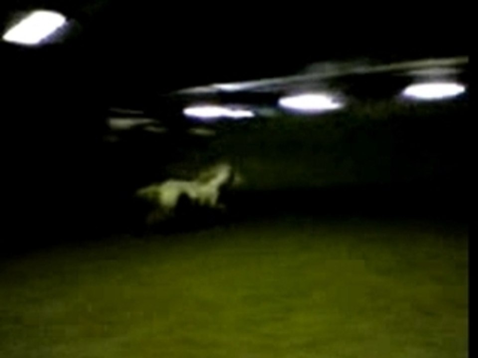 Grand galop