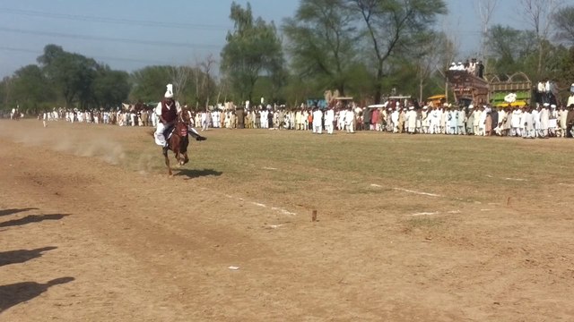 Tent Pegging Jalpana Mela 2014, Pakistan 1