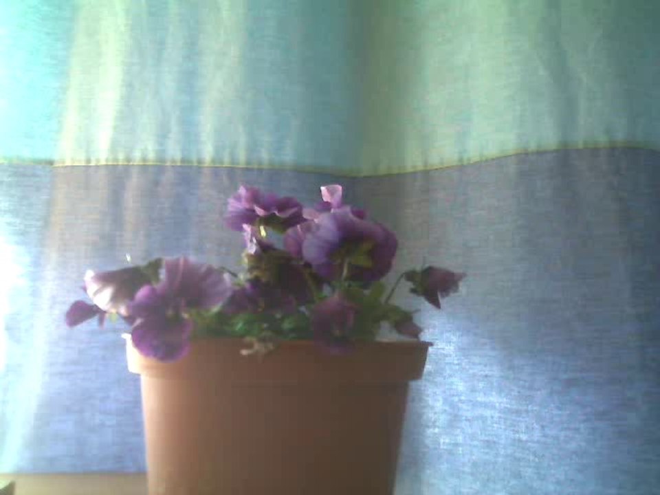 Violette (part two); texte: Marc Cle'ch