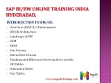 Sap bi/bw online training-USA