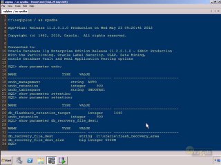 12.Oracle DB 11g DBA II  -  Using Flashback Technology Part 1 of 2