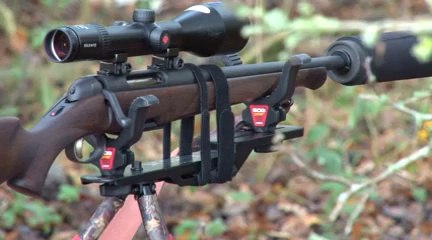 Fieldsports Britain - Stalking, hunting with hounds and Britain's angriest vixen