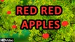 Red Red Apples - Nursery Rhymes | Learning English Preschool Rhymes For Children