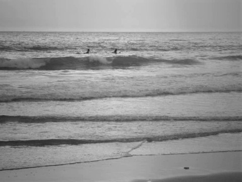 Biscarrosse (40600) Plage et surf dans les Landes