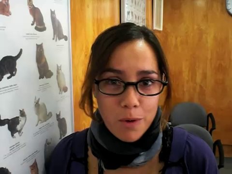 CIM Formación - Una alumna se ofrece como Auxiliar Técnico Veterinario