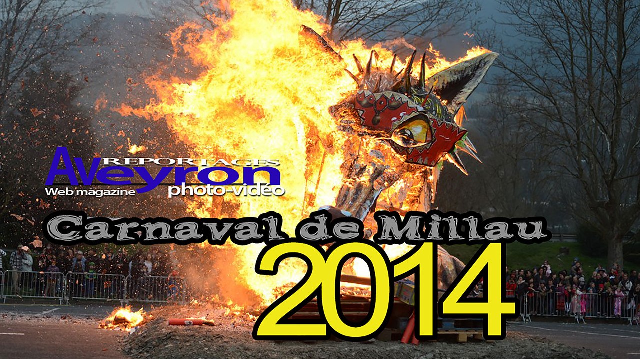 carnaval Millau 2014