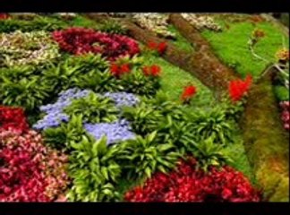 4-Surah An-Nisa with English Translation (Complete Quran) Imam Al-Sudais _ Al-Shuraim 2_2