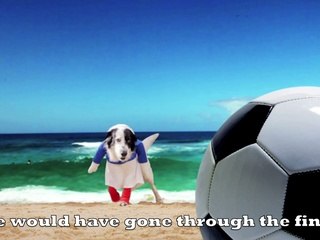 Va Chercher La BaBalle - Go get the ball (English Subtitles)