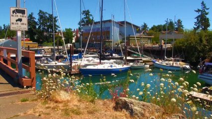Tsehum Harbour & Marina in Sidney