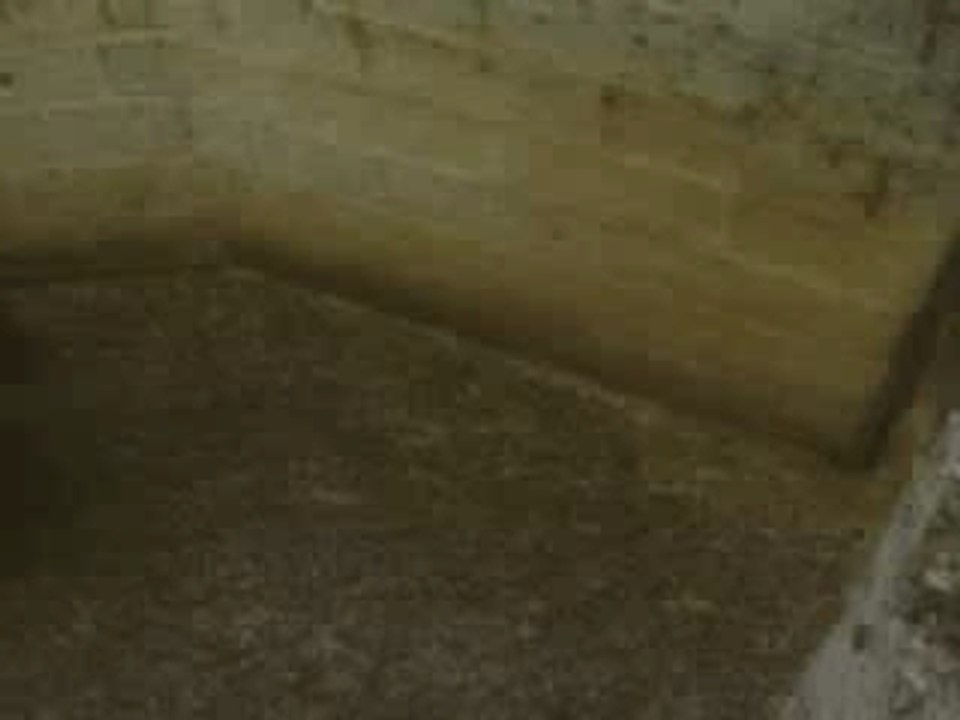 Mouton se prend le mur dans la gueule
