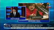 No pudieron derrotar a Venezuela en la OEA