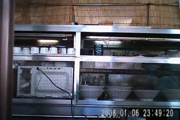 飲食店 黒田屋3　料理人