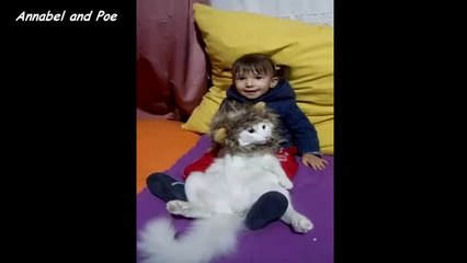 most-relax-lion-funny-cat-poe