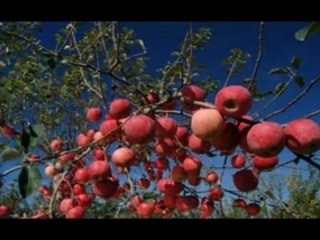 Instrumentals- 2pac- Changes-farid i