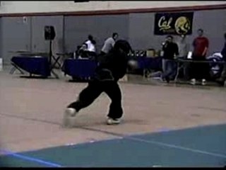 tao de kung fu style nanquan par rosetta