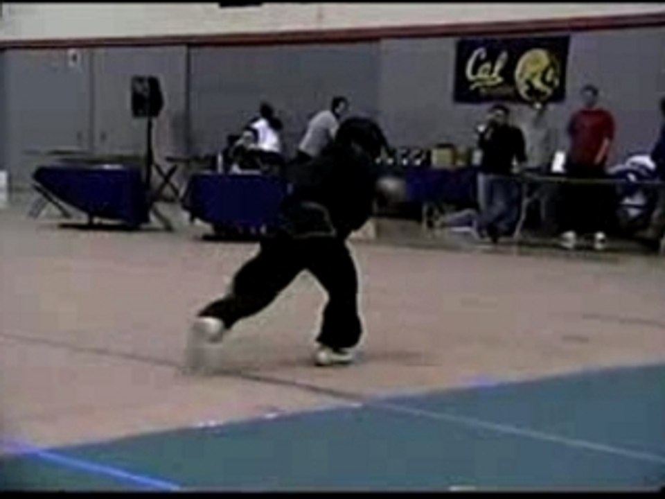 tao de kung fu style nanquan par rosetta