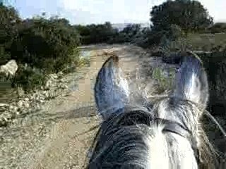 TRIPLE GALOP EN LIVE  MDRRRRRRRRRR