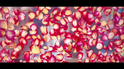 Code Promo getty images