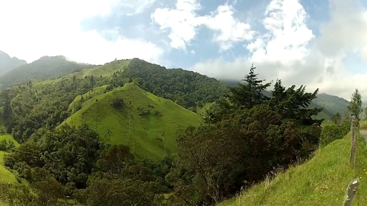 Valle del Cocora!
