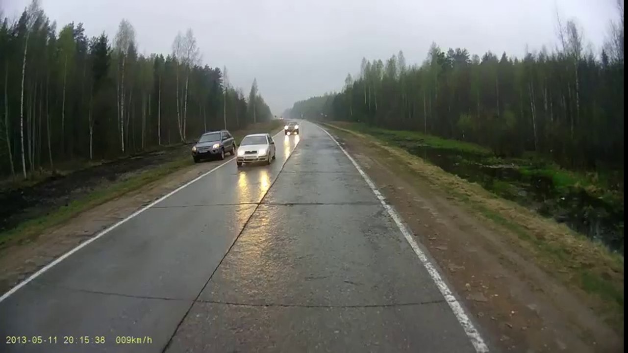 Moose Wipes Out on Road