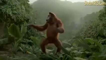 I Like To Move It - Monkey Dance!! LOL