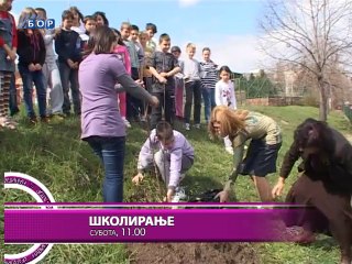 Navigator, 21. mart 2014.