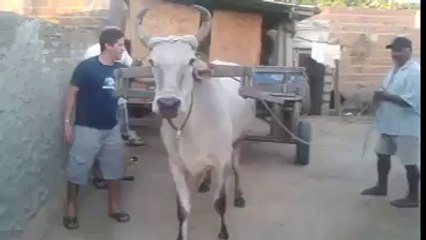 Amazing video must watch-Tezabi Video