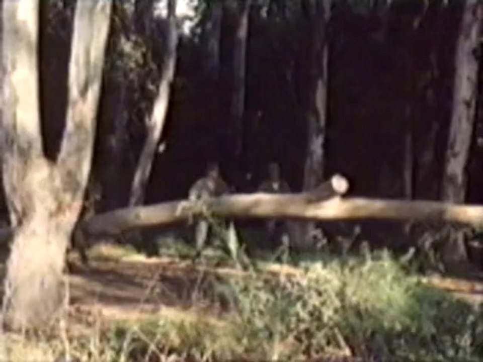 Ultime Combat (1987) - Chasse en forêt