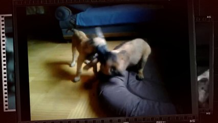 Be Aware Gorky & Pogo @ Come on Guy!