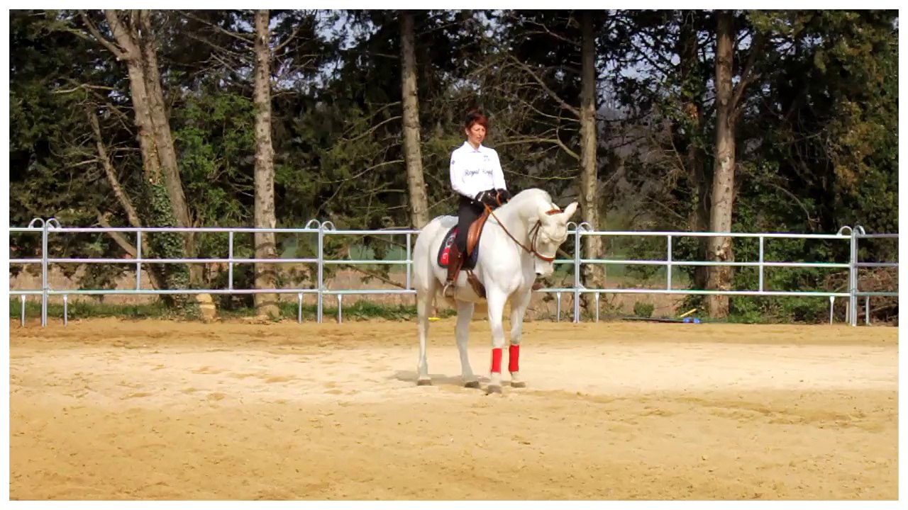JADE dressage mars 2014