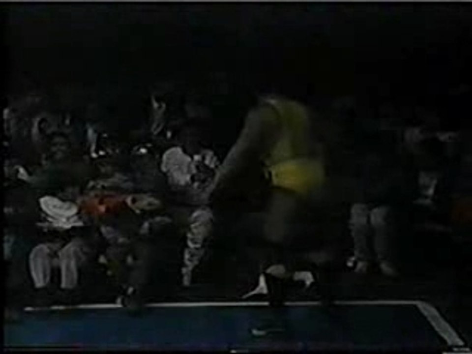 Salvaje, Scorpio Jr & Santo