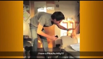 Zach King Le Magicien Du Net