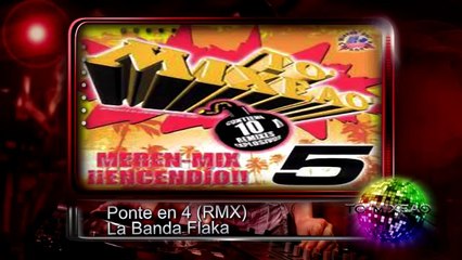Ponte en 4 (Remix) - La Banda Flaka ♫♫ To' Mixeao 5 ♫