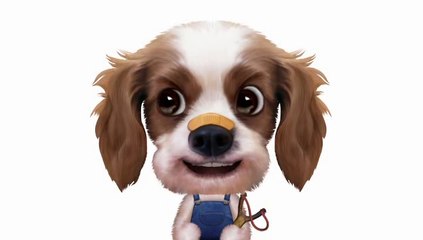 ♫ ♫ Blue Bird, Blue Bird ♫ ♫