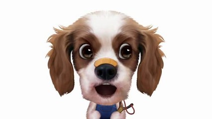 ♫ ♫ Down in the Valley ♫ ♫