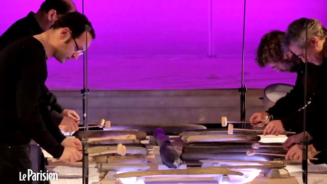 Cet orchestre joue de la musique sur des pierres préhistoriques