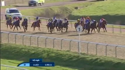 22.03.2014 Lingfield (UK) 4.Race coral Winter Derby 2014 - Group III 2.012 m