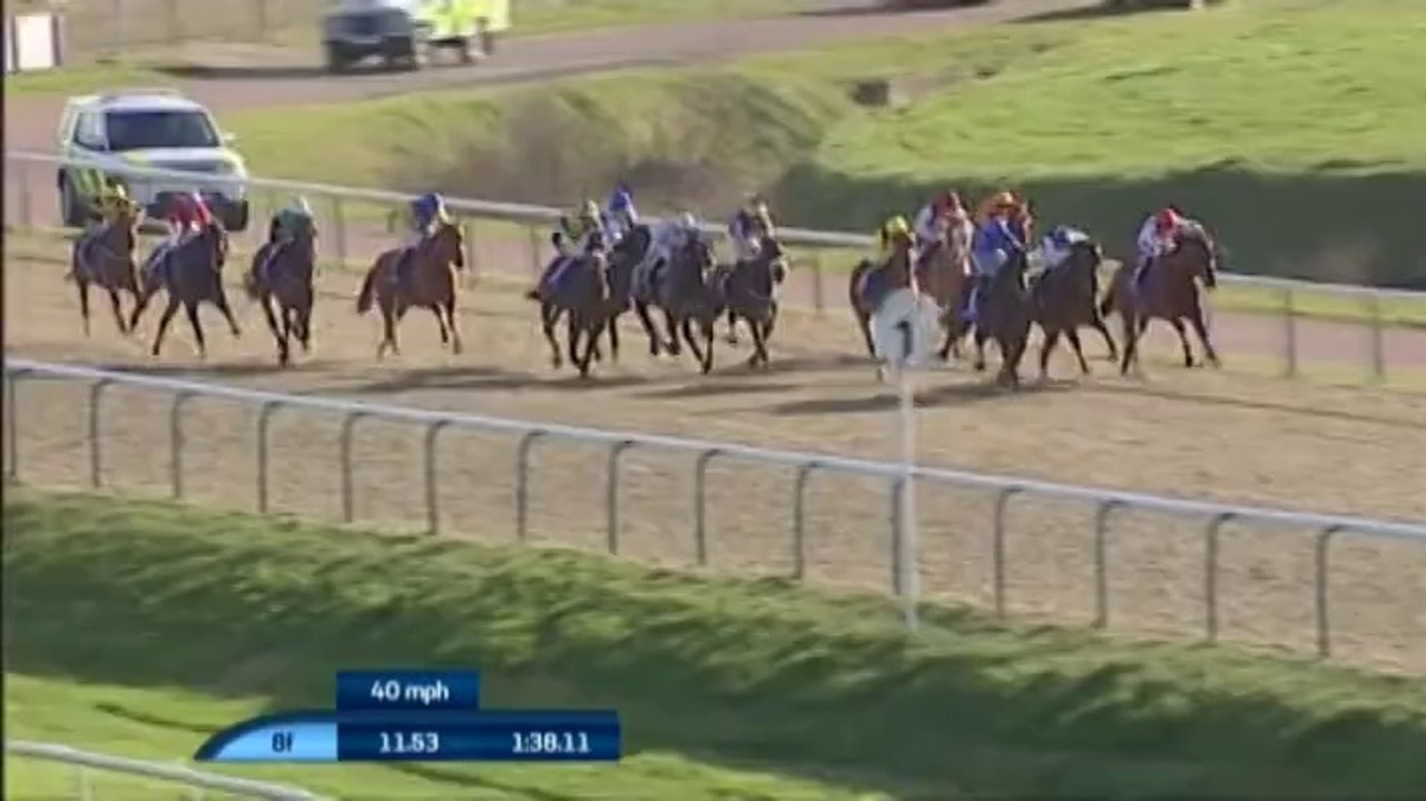 22.03.2014 Lingfield (UK) 4.Race coral Winter Derby 2014 - Group III 2.012 m