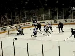 patiner avec les requins