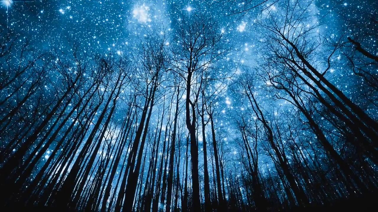 Starry night, love and cicadas