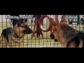 1548893_674024989325622_437742327_n