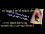 ÇİÇEK BİZZİRVEDEYİZ SESLİ SOHBET SİTELERİNİN BİR NUMARALI YAŞLI OROSPUSU