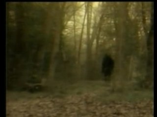 Rata Blanca - La Leyenda Del Hada Y El M