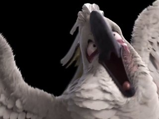 Rio 2 - Carnival Auditions