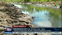 Contaminación de empresa aceitera causa muerte de peces en Guatemala