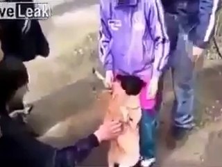 كلبة تلبس فستان