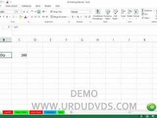 12. MS. Excel 2013 in Urdu - Data Entry
