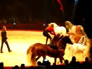 Kerstcircus Ahoy Rotterdam