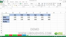 17. MS. Excel 2013 in Urdu - Saving Files